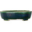 Maceta ovalada verde para bonsái de Mazan - 252 x 210 x 70 mm