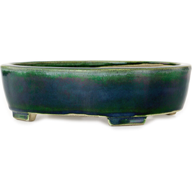 Maceta ovalada verde para bonsái de Mazan - 252 x 210 x 70 mm
