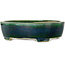 Ovale groene bonsaipot van Mazan - 252 x 210 x 70 mm