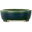 Maceta ovalada verde para bonsái de Mazan - 252 x 210 x 70 mm