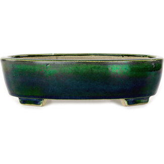  Satomi Mazan, Mazan Terahata 252 mm grüne Bonsaischale von Mazan, Tokoname, Japan
