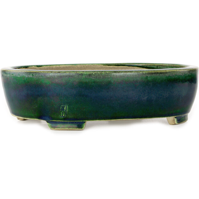 Maceta ovalada verde para bonsái de Mazan - 252 x 210 x 70 mm