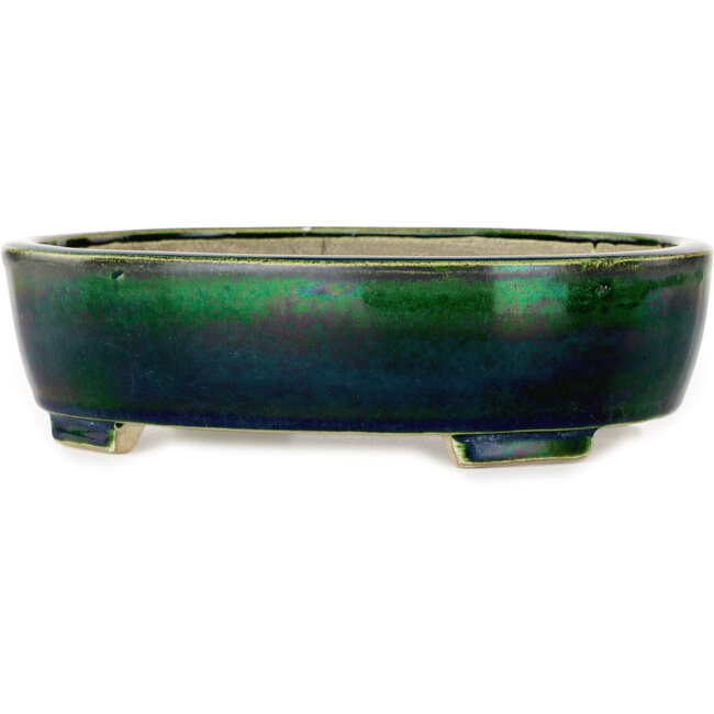 Maceta ovalada verde para bonsái de Mazan - 252 x 210 x 70 mm