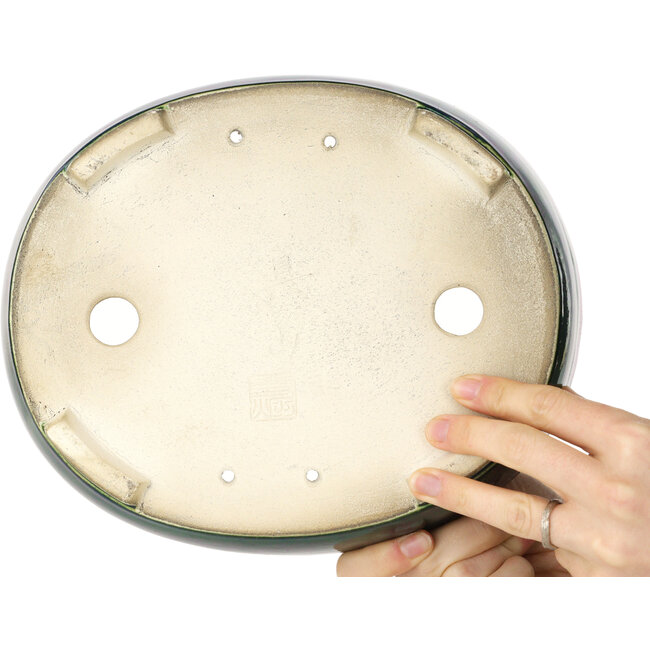 Maceta ovalada verde para bonsái de Mazan - 252 x 210 x 70 mm