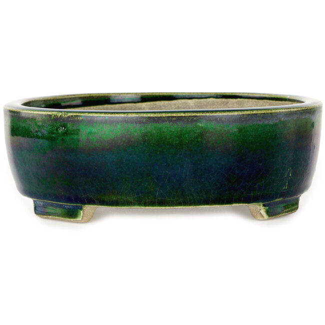 Maceta ovalada verde para bonsái de Mazan - 252 x 210 x 70 mm