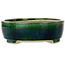 Maceta ovalada verde para bonsái de Mazan - 252 x 210 x 70 mm