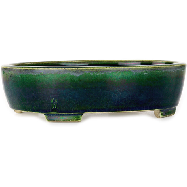Pot à bonsaï ovale vert Mazan - 252 x 210 x 70 mm