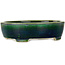 Maceta ovalada verde para bonsái de Mazan - 252 x 210 x 70 mm