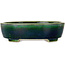 Maceta ovalada verde para bonsái de Mazan - 252 x 210 x 70 mm