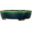 Maceta ovalada verde para bonsái de Mazan - 252 x 210 x 70 mm