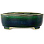 Maceta ovalada verde para bonsái de Mazan - 252 x 210 x 70 mm
