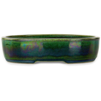  Satomi Mazan, Mazan Terahata 222 mm  green bonsai pot by Mazan, Tokoname, Japan