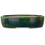 Oval green bonsai pot by Mazan - 222 x 175 x 52 mm