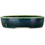 Pot à bonsaï ovale vert Mazan - 222 x 175 x 52 mm