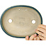 Oval green bonsai pot by Mazan - 222 x 175 x 52 mm