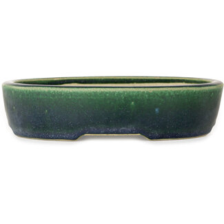  Satomi Mazan, Mazan Terahata 227 mm  green bonsai pot by Mazan, Tokoname, Japan