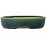 Oval green bonsai pot by Mazan - 227 x 187 x 50 mm