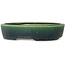 Oval green bonsai pot by Mazan - 227 x 187 x 50 mm