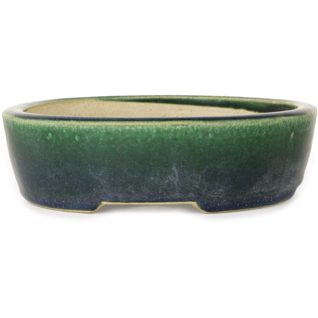 Maceta ovalada verde para bonsái de Mazan - 227 x 187 x 50 mm