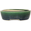 Oval green bonsai pot by Mazan - 227 x 187 x 50 mm