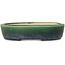 Pot à bonsaï ovale vert Mazan - 227 x 187 x 50 mm