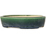 Pot à bonsaï ovale vert Mazan - 227 x 187 x 50 mm