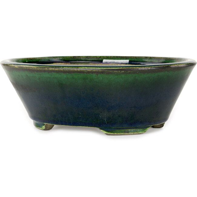 Maceta ovalada verde para bonsái de Mazan - 230 x 200 x 75 mm