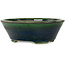 Pot à bonsaï ovale vert Mazan - 230 x 200 x 75 mm