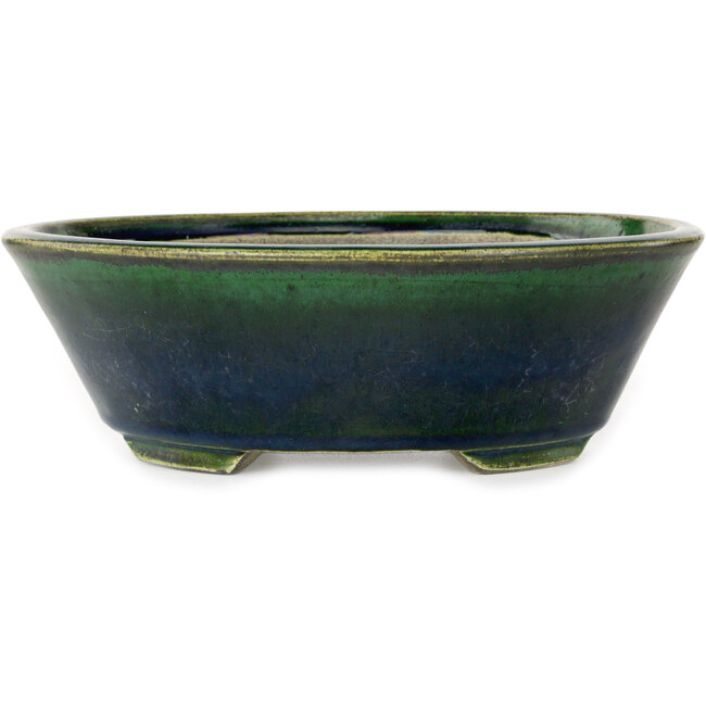 Pot à bonsaï ovale vert Mazan - 230 x 200 x 75 mm