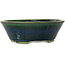 Vaso bonsai ovale verde di Mazan - 230 x 200 x 75 mm