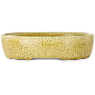  Satomi Mazan, Mazan Terahata 223 mm  yellow craquelé bonsai pot by Mazan, Tokoname, Japan