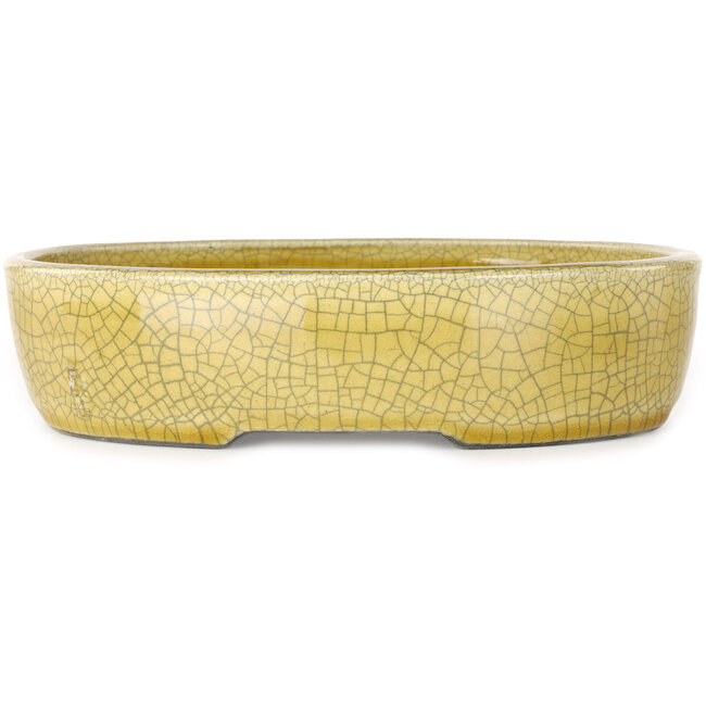 Ovale gele craquelé bonsaipot van Mazan - 223 x 177 x 155 mm