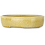 Ovale gele craquelé bonsaipot van Mazan - 223 x 177 x 155 mm