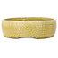 Ovale gele craquelé bonsaipot van Mazan - 223 x 177 x 155 mm
