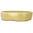 Maceta ovalada para bonsái craquelé amarillo de Mazan - 223 x 177 x 155 mm