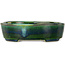 Oval green bonsai pot by Terahata Satomi Mazan - 195 x 157 x 55 mm