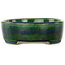 Oval green bonsai pot by Terahata Satomi Mazan - 195 x 157 x 55 mm