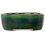 Oval green bonsai pot by Terahata Satomi Mazan - 195 x 157 x 55 mm
