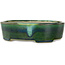 Oval green bonsai pot by Terahata Satomi Mazan - 195 x 157 x 55 mm