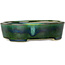 Oval green bonsai pot by Terahata Satomi Mazan - 195 x 157 x 55 mm