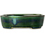 Oval green bonsai pot by Terahata Satomi Mazan - 195 x 157 x 55 mm