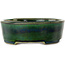 Oval green bonsai pot by Terahata Satomi Mazan - 195 x 157 x 55 mm