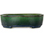 Pot à bonsaï ovale vert Mazan - 192 x 160 x 55 mm