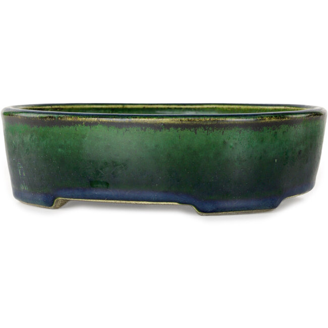 Pot à bonsaï ovale vert Mazan - 192 x 160 x 55 mm