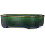 Pot à bonsaï ovale vert Mazan - 192 x 160 x 55 mm