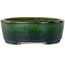 Pot à bonsaï ovale vert Mazan - 192 x 160 x 55 mm