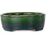Pot à bonsaï ovale vert Mazan - 192 x 160 x 55 mm