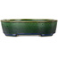 Oval green bonsai pot by Mazan - 192 x 160 x 55 mm