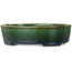 Pot à bonsaï ovale vert Mazan - 192 x 160 x 55 mm