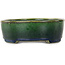 Pot à bonsaï ovale vert Mazan - 192 x 160 x 55 mm